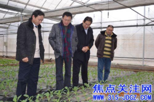 白万省主任赴上海君地生态农业科技有限公司有机果蔬基地进行考察