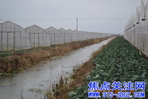 白万省主任赴上海君地生态农业科技有限公司有机果蔬基地进行考察