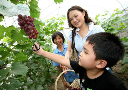北京首家葡萄主题公园七月开园