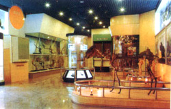 天津自然博物馆