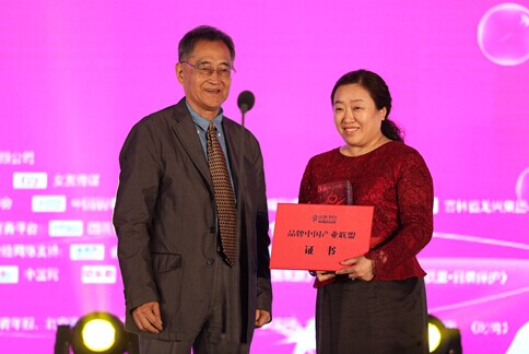 刘湃获得“2014中国十大品牌女性”