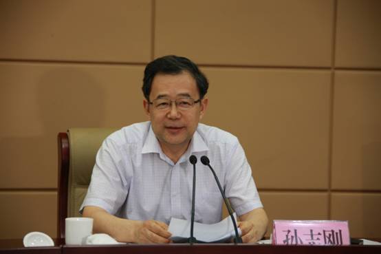 孙志刚副主任出席河南省县级公立医院综合改革工作会