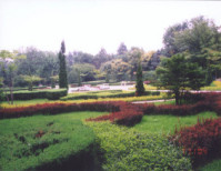 沈阳植物园