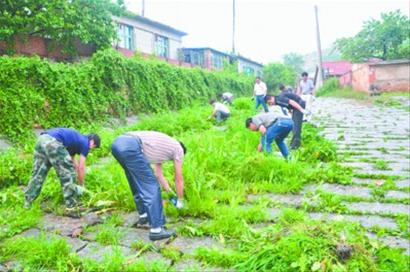 丹东花1.7亿元建设美丽乡村