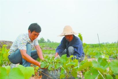 由村民推选的“十佳村民”个个好样的