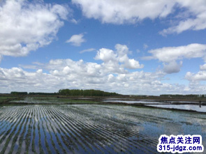 黑龙江富锦市良缘水稻专业合作社