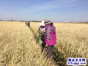 黑龙江富锦市良缘水稻专业合作社