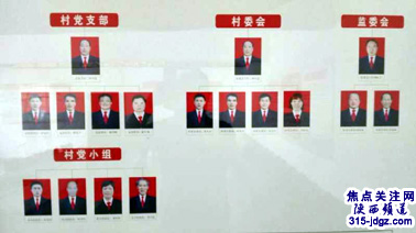洛南县三要镇龙山村精准扶贫成效显著