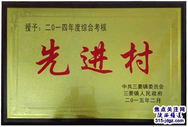 洛南县三要镇龙山村精准扶贫成效显著
