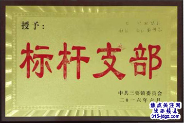 洛南县三要镇龙山村精准扶贫成效显著