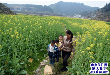 新邵巨口铺镇：油菜花开迎春来 四方游客欢喜闹