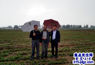 乌兰察布市桔梗种植业迅速发展
