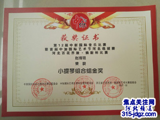 赵博琨同学在第十二届中新国际音乐节中取得优异的成绩