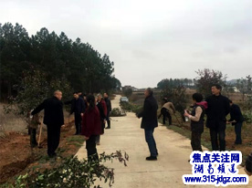湖南邵阳市谷洲镇开展“植树”活动，促进绿色经济发展