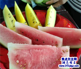 湖南邵阳县谷洲镇兰子村千亩西瓜基地——书记曾祥德带领村民脱贫致富