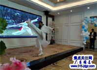 焦点关注网广东频道管委会主任何文雄应邀参加深圳市传统文化研究会年度大会暨文艺午宴