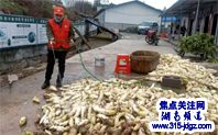 逆行者背后的暖心战士——记抗疫一线志愿者“道德模范”钟世兰