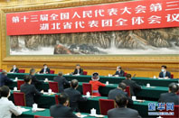 习近平参加湖北代表团审议