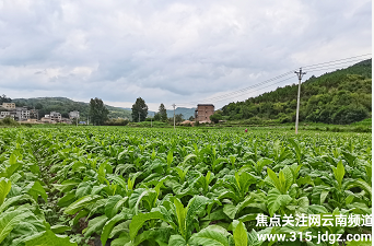 精准扶贫 从我做起