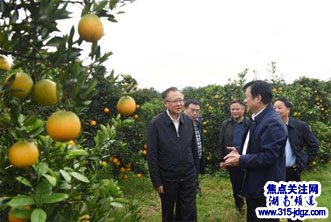 湖南邵阳市委书记龚文密在新宁县调研时强调  高质量打赢脱贫攻坚战 精心谋划“十四五”发展