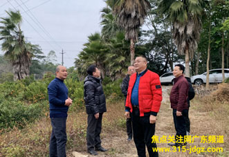 焦点关注网管委会主任白万省赴惠州等地考察