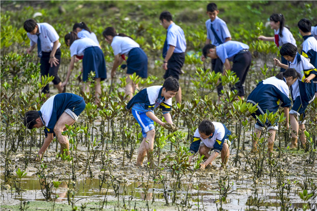 志愿服务满椰城 文明之花遍地开