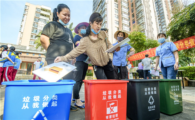 志愿服务满椰城 文明之花遍地开
