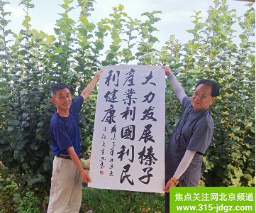 助力乡村振兴战略,为绿色农业插上“科技翅膀”