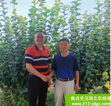 助力乡村振兴战略,为绿色农业插上“科技翅膀”