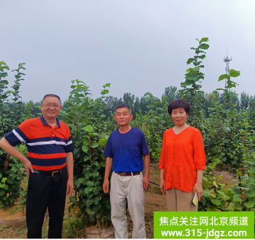 助力乡村振兴战略,为绿色农业插上“科技翅膀”