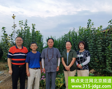 助力乡村振兴战略，为绿色农业插上“科技翅膀”