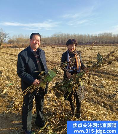 三十七：一颗小草就是一个大产业--创新型智慧农业系统工程推广中