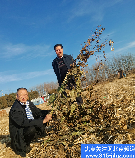 三十五：一颗小草就是一个大产业--创新型智慧农业系统工程推广中