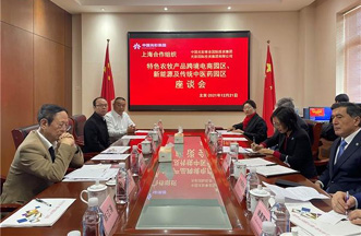 胡德平在光彩集团会见上海合作组织弗拉基米尔·诺罗夫秘书长一行