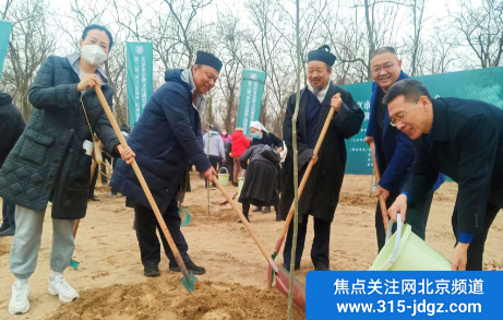 植树节如期应约 和合林再添新绿