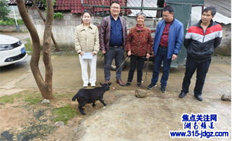 黄桥镇：圆梦微心愿 聚力助生产