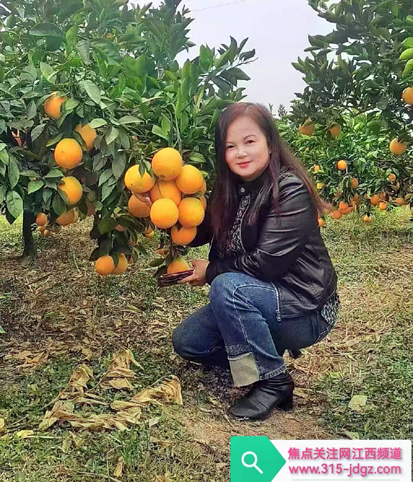 脐橙飘香