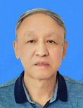 顾问：王琳