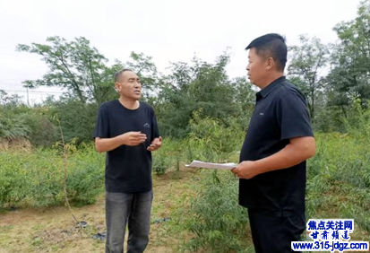 巴旦木飘香千万家,乡村振兴惠民生