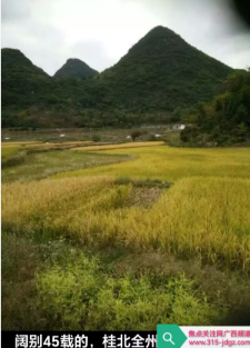 全州五峰山故地游 一彭义仁